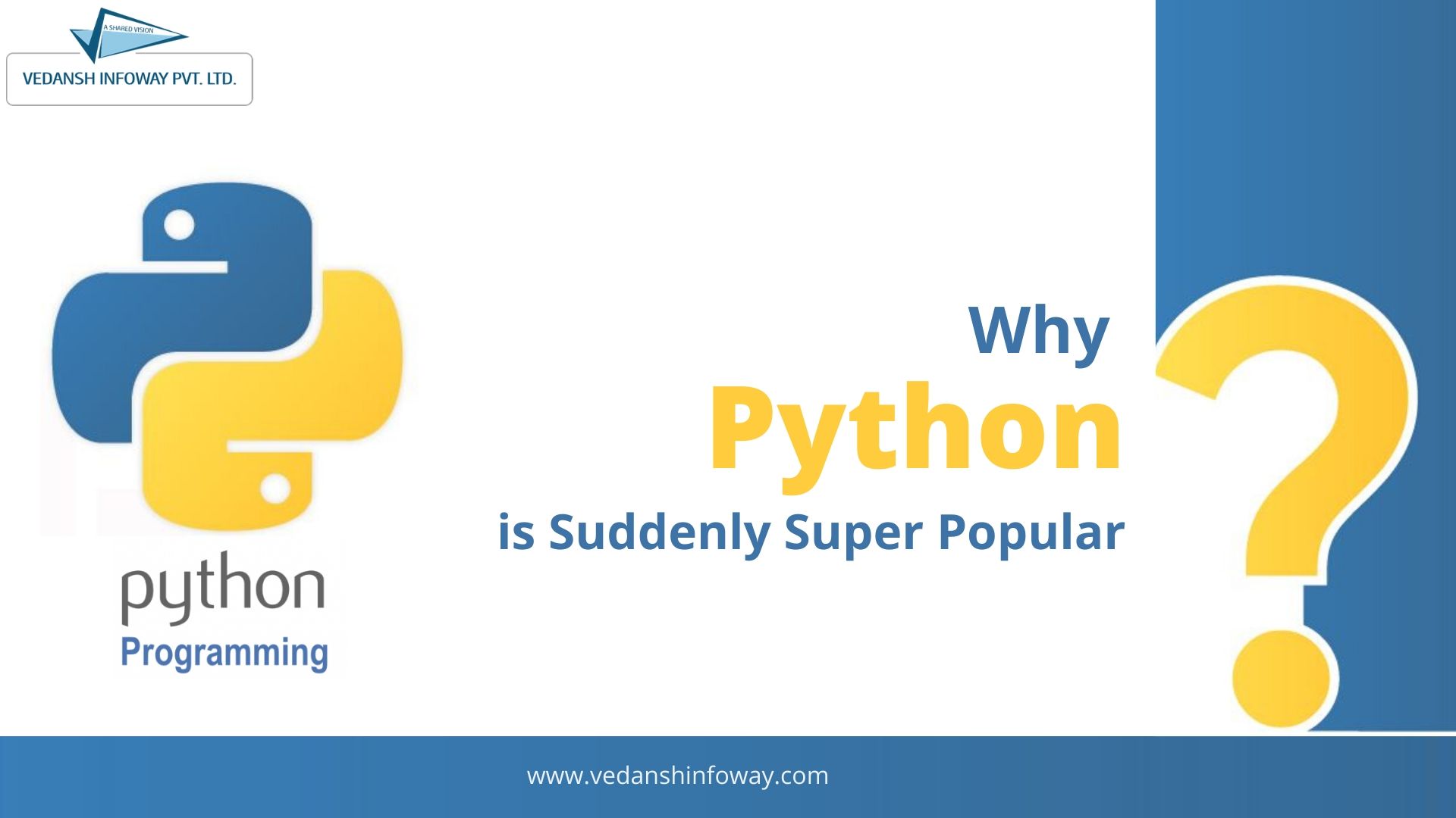 why python is suddenly super popular