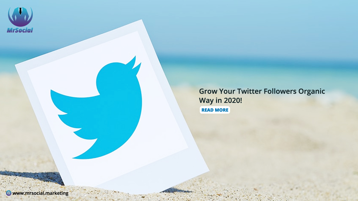 Best Place to Buy Twitter Followers