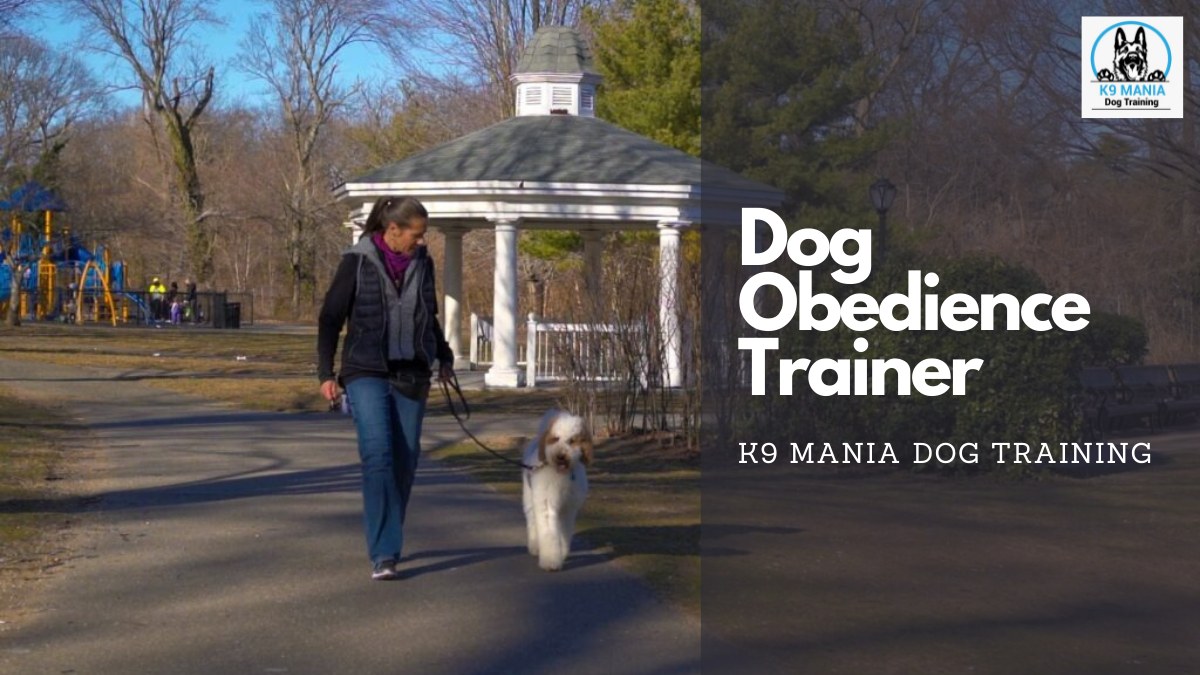 Dog Obedience Trainer